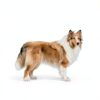 NATURE TARGET Dog Probiotic Chews Freeze Dried Duck Flavor-3