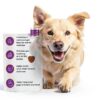 Red Kangaroo Dog Probiotic Chews for Digestive Health-4
