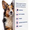 Dog Probiotics for Digestive Health Nutramax Proviable-4