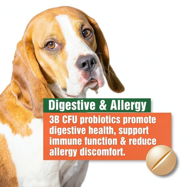 Paws A Day Probiotics for Dogs Allergy Digestive Health-4