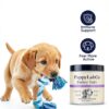 Puppylabco Turkey Tail Dog Supplement Mushroom Probiotics-1