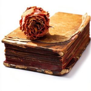 Howard Books Christian Fiction Kindle eBook Religion Romance-0