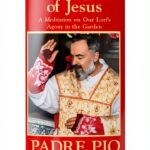 TAN Books Catholic Devotional Kindle eBook Religion-0