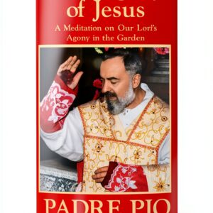 TAN Books Catholic Devotional Kindle eBook Religion-0