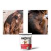 Dinovite Dog Supplement Probiotics Skin Coat Immune Health-3