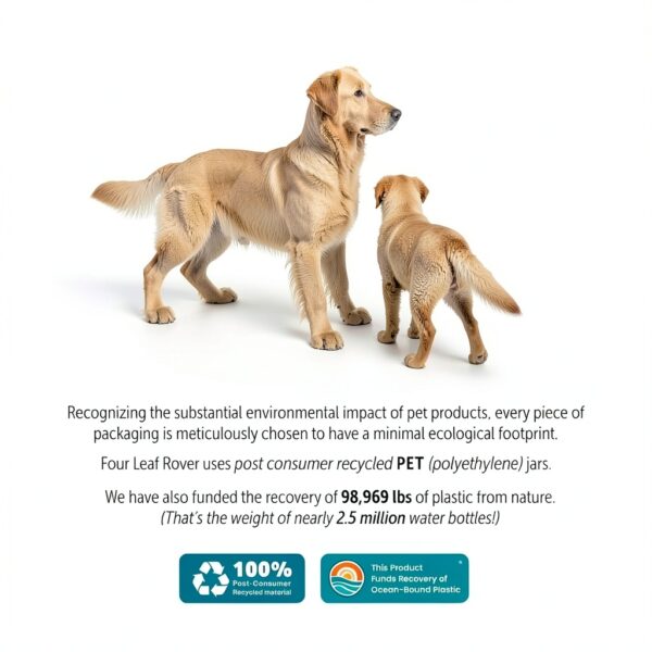 Four Leaf Rover Gut Guard Dog Probiotic Supplement-6